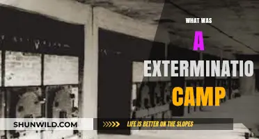 Unveiling the Horrors: A Deep Dive into Extermination Camps