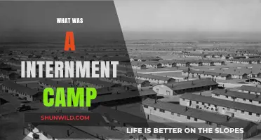 Unveiling the Horrors: A Deep Dive into Internment Camps