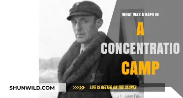 Understanding the Role of Kapos in Nazi Concentration Camps