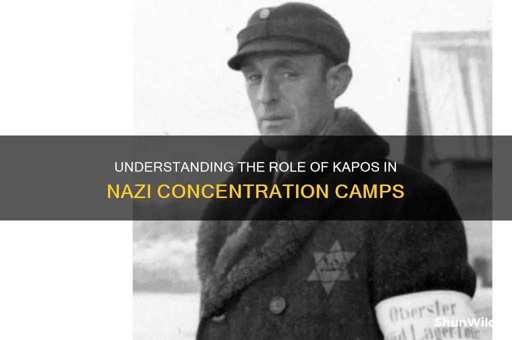 what was a kapo in a concentration camp