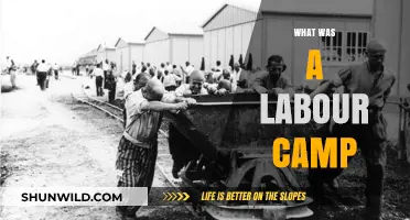 Unveiling the Harsh Realities of Labor Camps: A Historical Perspective