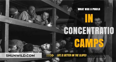 Pikolo's Role in Concentration Camps: A Forgotten Survivor's Story