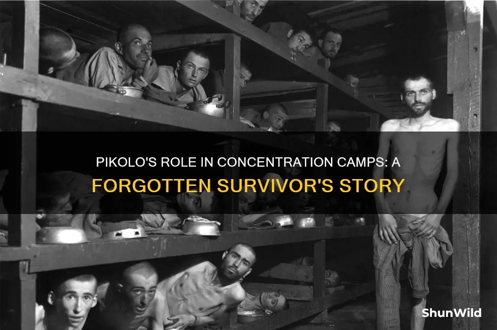 what was a pikolo in concentration camps