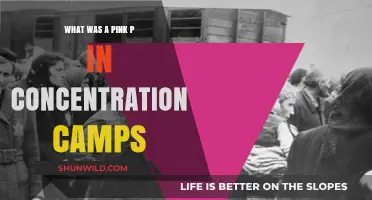 The Pink Triangle's Hidden Symbol: Uncovering Concentration Camp Secrets