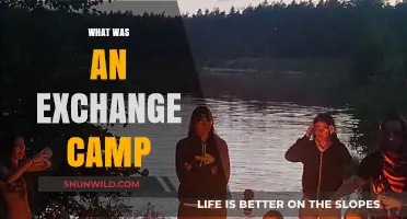 Exploring the Dynamics of Exchange Camps: A Historical Perspective