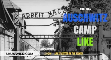 Unveiling the Horrors: A Glimpse into Auschwitz Concentration Camp