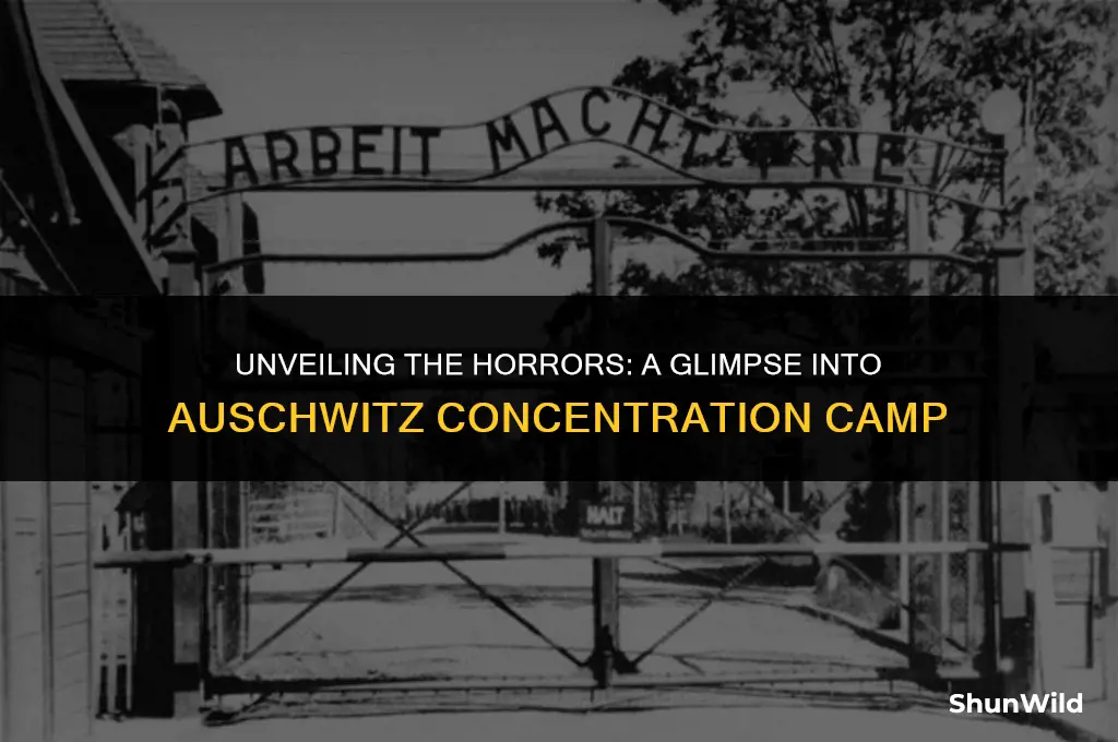 what was auschwitz camp like