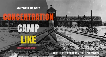 Auschwitz: Life, Death, and the Horrors of Nazi Concentration Camps