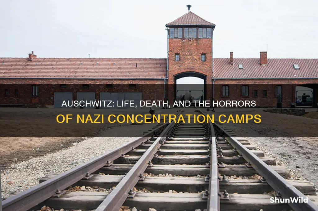 what was auschwitz concentration camp like