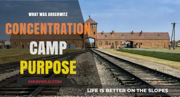 Understanding Auschwitz: The Purpose of the Notorious Concentration Camp
