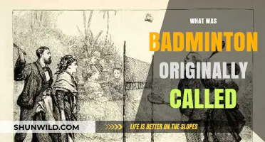 Badminton's Original Name: A Historical Perspective
