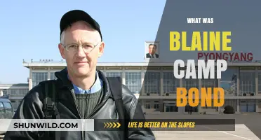 Unveiling the Mystery: What Was Blaine Camp Bond?
