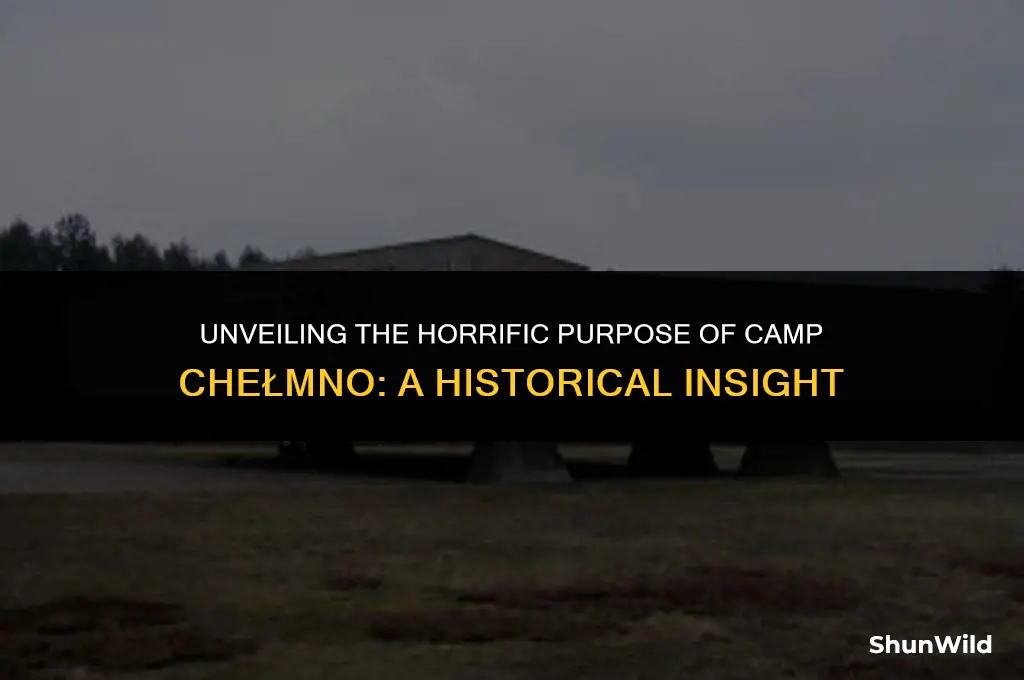 what was camp chelmnos purpse