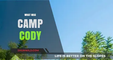 Unveiling the Secrets of Camp Cody: A Journey Through History