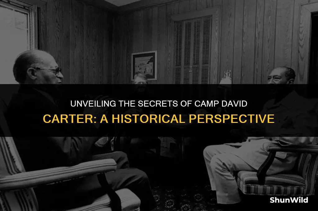 what was camp david carter