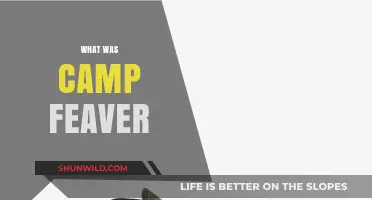 Unveiling the Mystery: What Was Camp Fever?