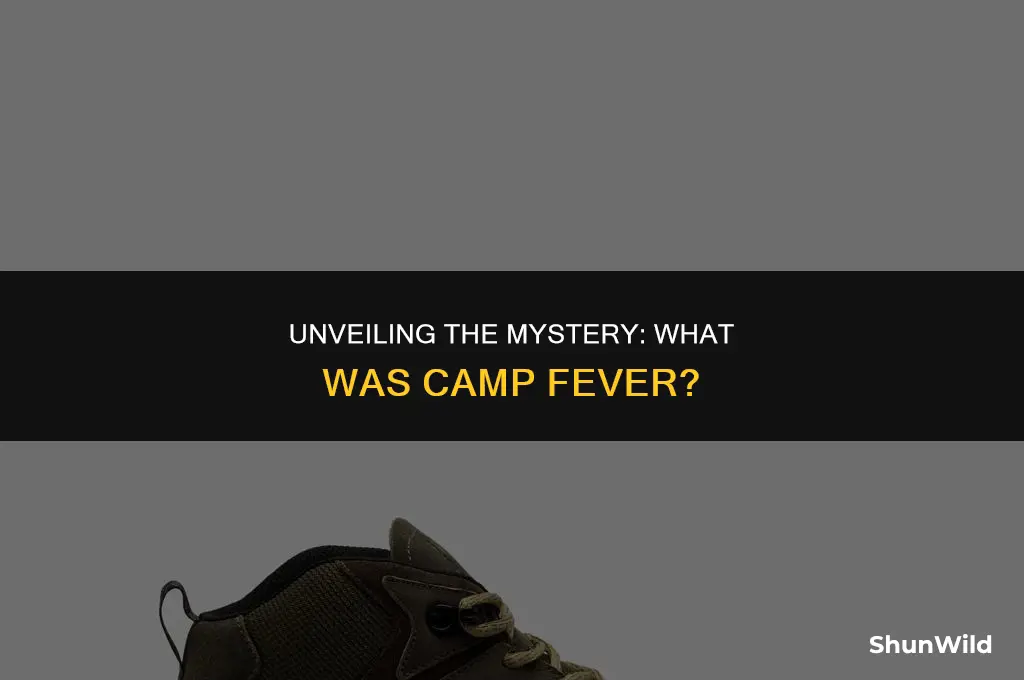 what was camp feaver