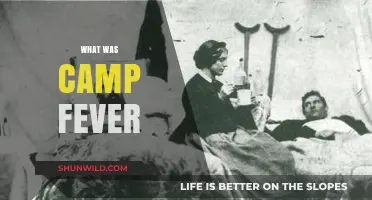 Camp Fever: Uncovering the Deadly Scourge of Civil War Camps