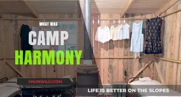 Unveiling the Truth: The Dark Reality Behind Camp Harmony
