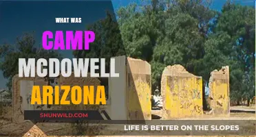 Unveiling the Mystery: What Was Camp McDowell, Arizona?