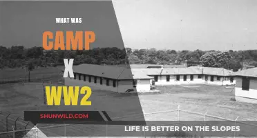Unveiling the Secrets of Camp X: A WWII Spy Training Mystery