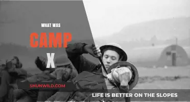 Unveiling the Secrets of Camp X: A Historical Journey