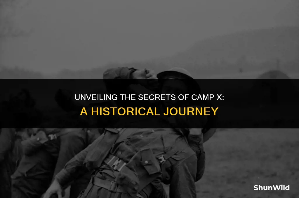 what was camp x