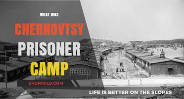 Unveiling the Horrors: A Deep Dive into Chernovtsy Prisoner Camp