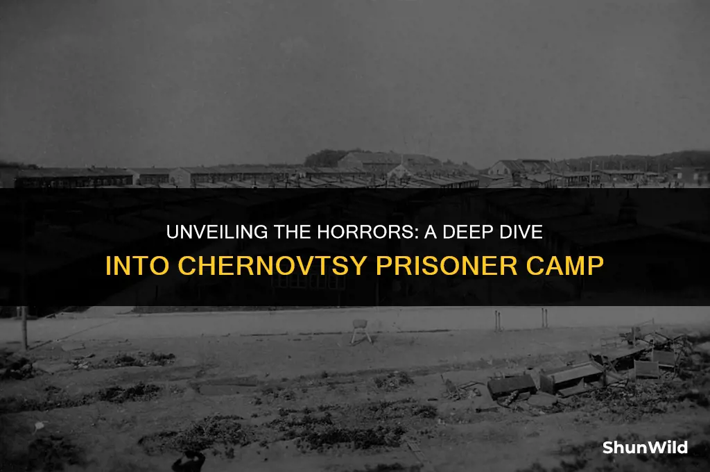 what was chernovtsy prisoner camp