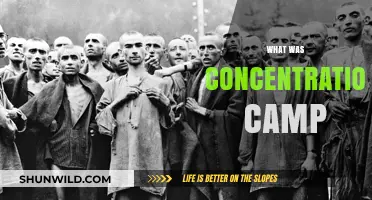 Understanding Concentration Camps: History, Purpose, and Lasting Impact
