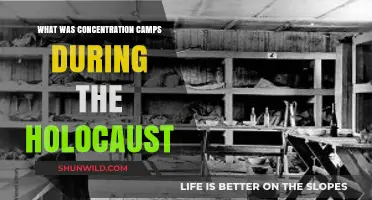 Unveiling the Horrors: Understanding Concentration Camps in the Holocaust