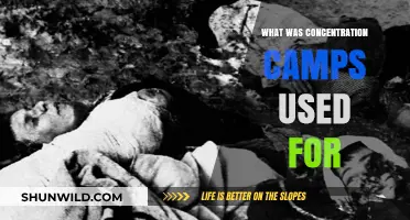 Understanding the Purpose and Horrors of Concentration Camps
