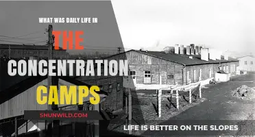 Daily Life in Concentration Camps: Survival, Struggle, and Humanity's Darkest Chapter