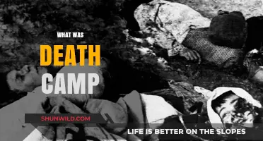 Unveiling the Horrors: A Deep Dive into Death Camps