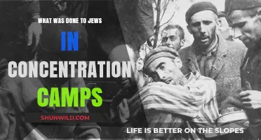 The Horrors of Concentration Camps: Jewish Suffering and Survival