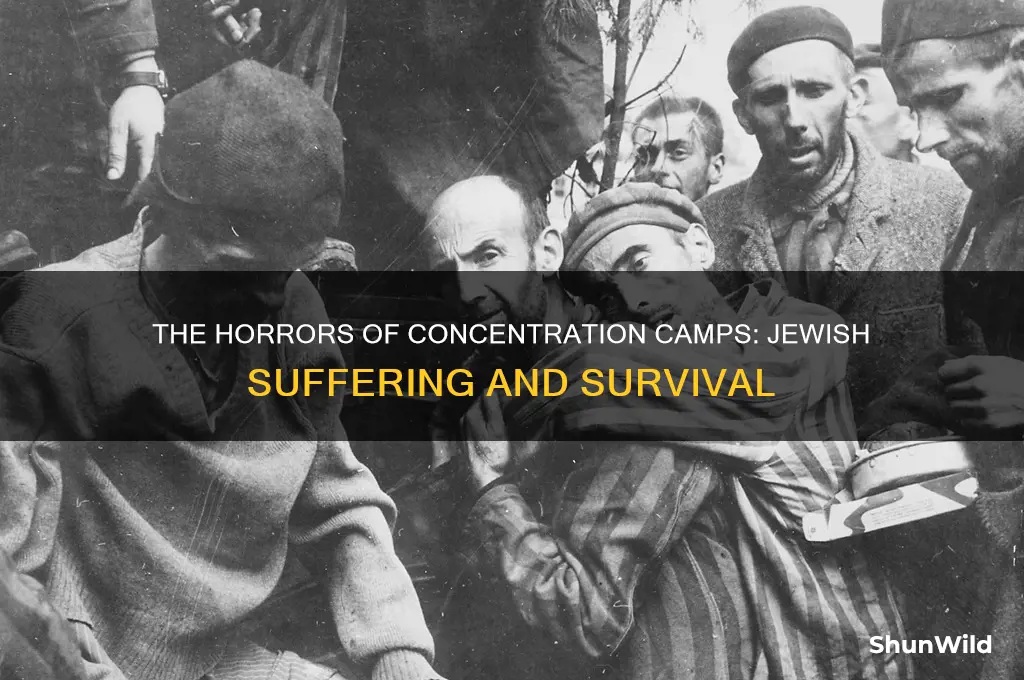 what was done to jews in concentration camps