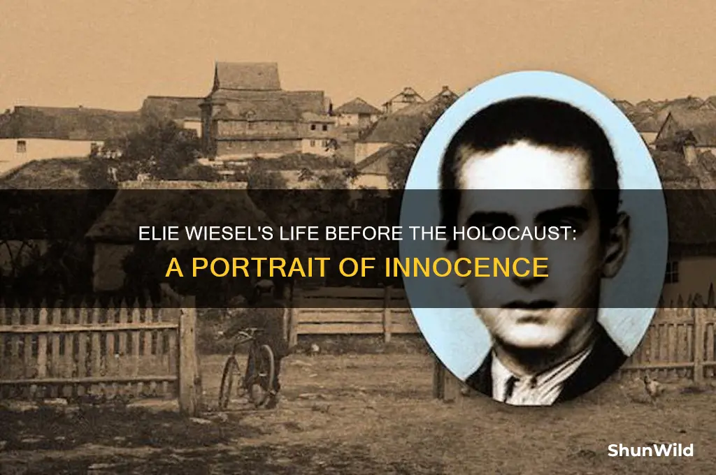 what was elie weisel like beofre the concentration camps