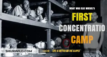Elie Wiesel's Harrowing Journey: His First Concentration Camp Experience