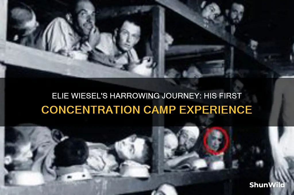what was elie wiesel