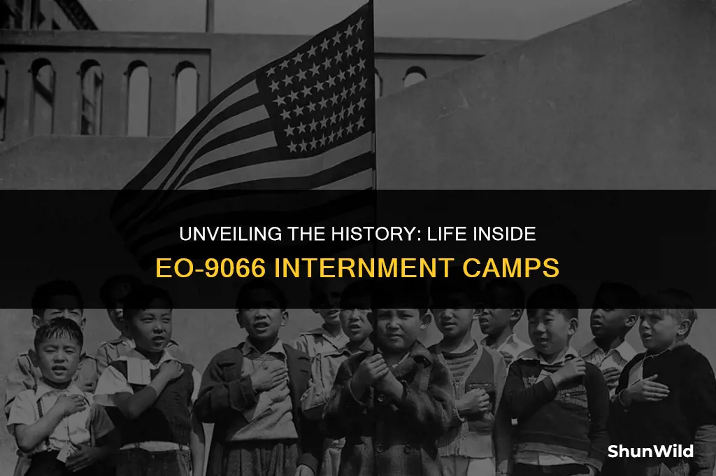 what was eo-9066 camps