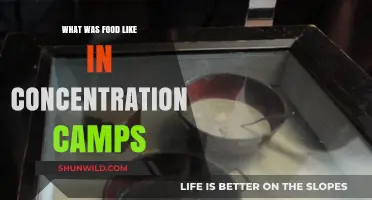 Starvation and Survival: The Grim Reality of Concentration Camp Food