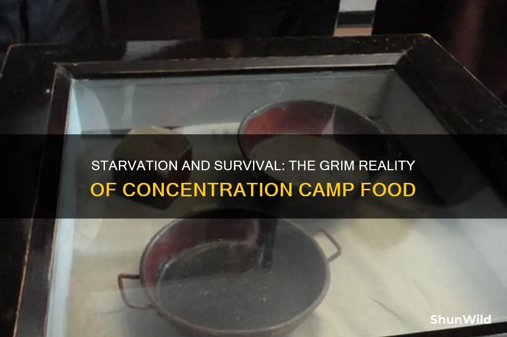 what was food like in concentration camps