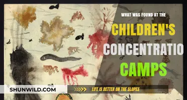 Unveiling the Dark Secrets of Children's Concentration Camps