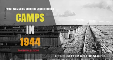 1944 Concentration Camps: Horrors, Resistance, and the Final Year of Genocide