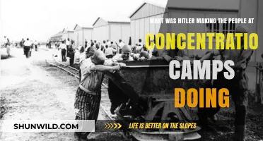 Hitler's Concentration Camps: Forced Labor, Extermination, and Human Suffering