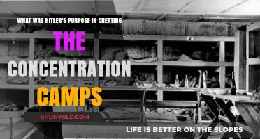 Hitler's Concentration Camps: A Chilling Purpose Behind the Atrocities