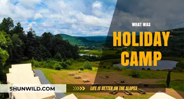 Nostalgic Memories: Unwinding at Holiday Camp