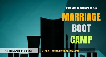 Unveiling Farrah's Mystery Box: Secrets from Marriage Boot Camp