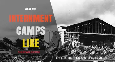 Unveiling the Harsh Realities of Internment Camps: A Historical Reflection