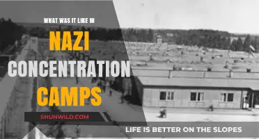 Life and Death in Nazi Concentration Camps: Survivor Stories and History